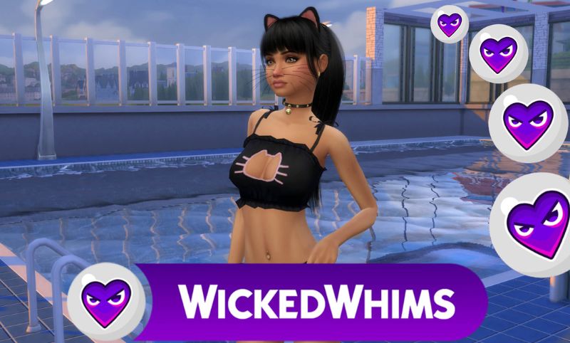 Interesting Facts About Wicked Whims