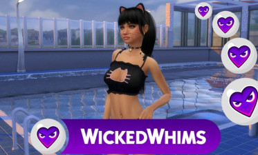 Interesting Facts About Wicked Whims